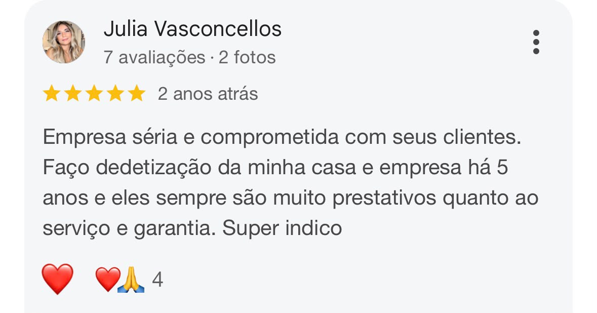 Avaliação de cliente da MaxControle no Google